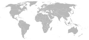 World Map